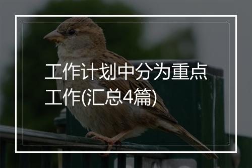工作计划中分为重点工作(汇总4篇)