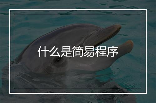 什么是简易程序