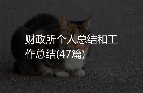财政所个人总结和工作总结(47篇)