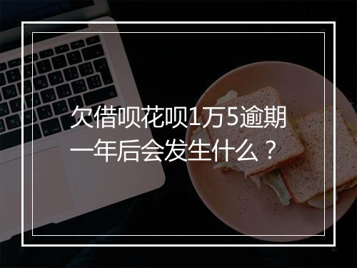 欠借呗花呗1万5逾期一年后会发生什么？