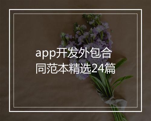 app开发外包合同范本精选24篇