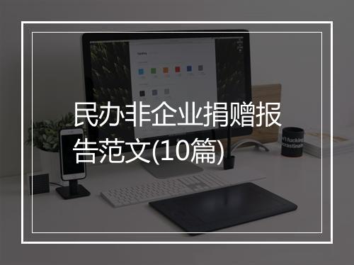 民办非企业捐赠报告范文(10篇)
