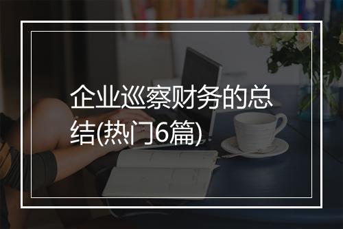 企业巡察财务的总结(热门6篇)