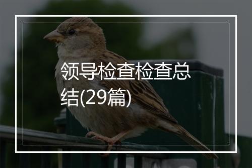 领导检查检查总结(29篇)