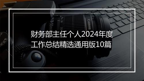 财务部主任个人2024年度工作总结精选通用版10篇
