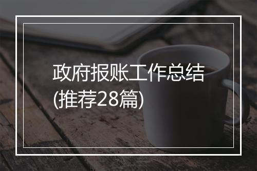 政府报账工作总结(推荐28篇)