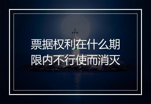 票据权利在什么期限内不行使而消灭