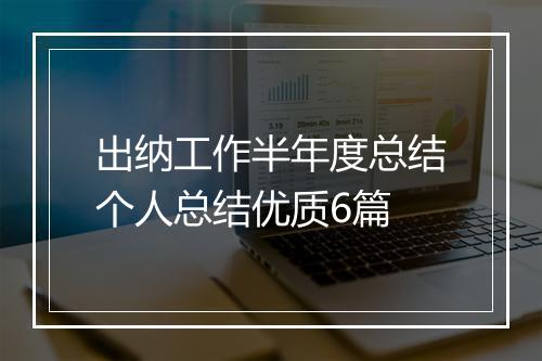 出纳工作半年度总结个人总结优质6篇