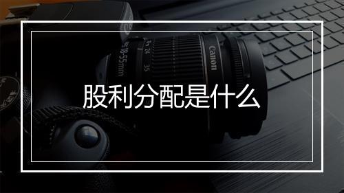 股利分配是什么