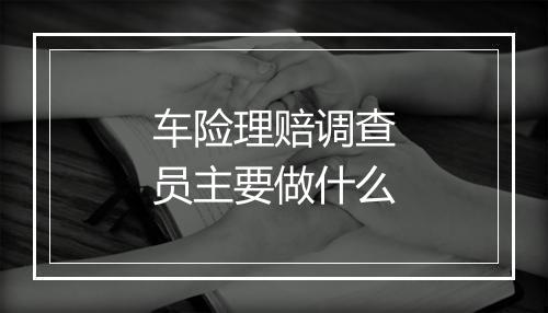 车险理赔调查员主要做什么
