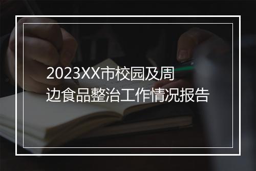 2023XX市校园及周边食品整治工作情况报告