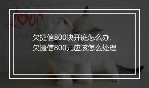 欠捷信800块开庭怎么办,欠捷信800元应该怎么处理