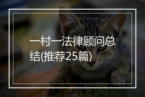 一村一法律顾问总结(推荐25篇)
