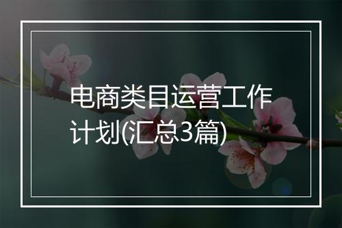 电商类目运营工作计划(汇总3篇)