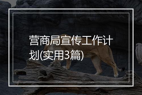 营商局宣传工作计划(实用3篇)