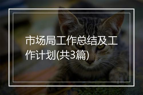 市场局工作总结及工作计划(共3篇)