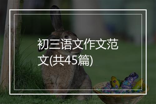 初三语文作文范文(共45篇)