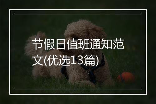 节假日值班通知范文(优选13篇)