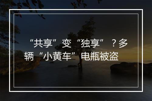 “共享”变“独享”？多辆“小黄车”电瓶被盗
