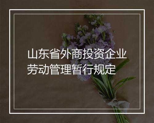 山东省外商投资企业劳动管理暂行规定