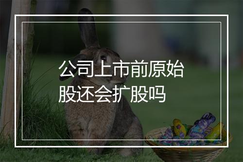 公司上市前原始股还会扩股吗