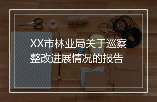 XX市林业局关于巡察整改进展情况的报告