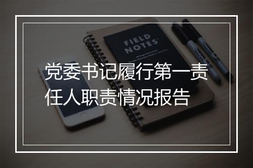 党委书记履行第一责任人职责情况报告