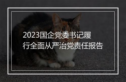 2023国企党委书记履行全面从严治党责任报告