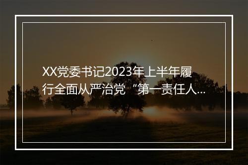 XX党委书记2023年上半年履行全面从严治党“第一责任人”责任述职报告