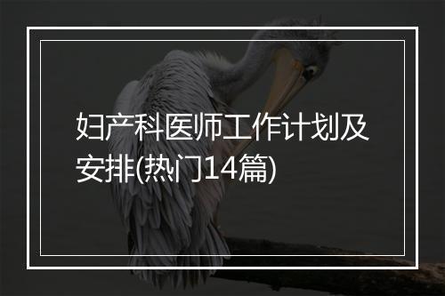 妇产科医师工作计划及安排(热门14篇)