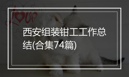 西安组装钳工工作总结(合集74篇)