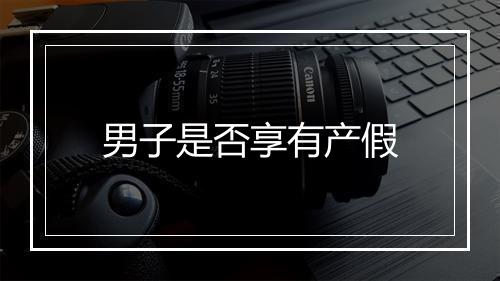男子是否享有产假