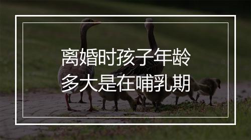 离婚时孩子年龄多大是在哺乳期