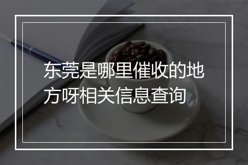 东莞是哪里催收的地方呀相关信息查询