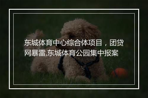东城体育中心综合体项目，团贷网暴雷,东城体育公园集中报案