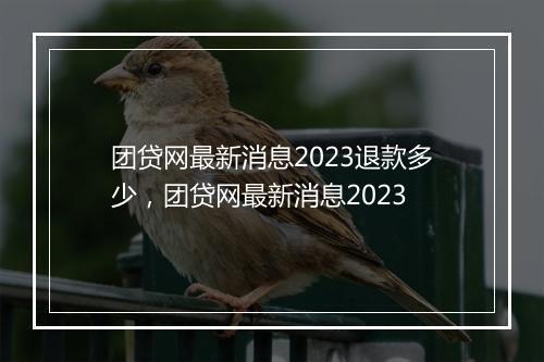 团贷网最新消息2023退款多少，团贷网最新消息2023