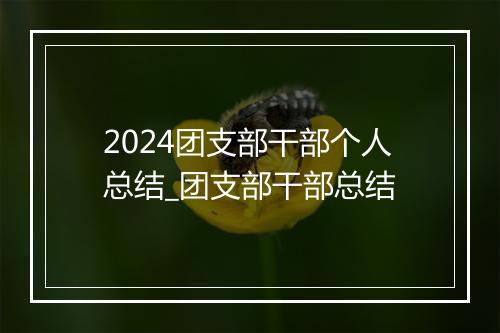 2024团支部干部个人总结_团支部干部总结