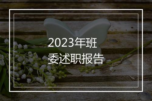 2023年班委述职报告