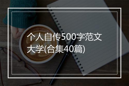 个人自传500字范文大学(合集40篇)