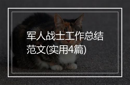 军人战士工作总结范文(实用4篇)