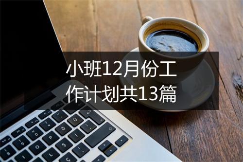 小班12月份工作计划共13篇