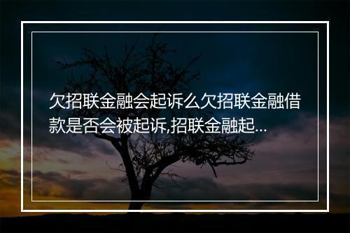 欠招联金融会起诉么欠招联金融借款是否会被起诉,招联金融起诉案例分析