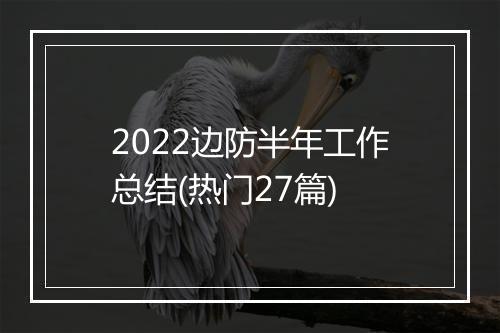 2022边防半年工作总结(热门27篇)