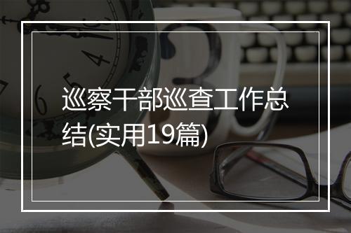 巡察干部巡查工作总结(实用19篇)