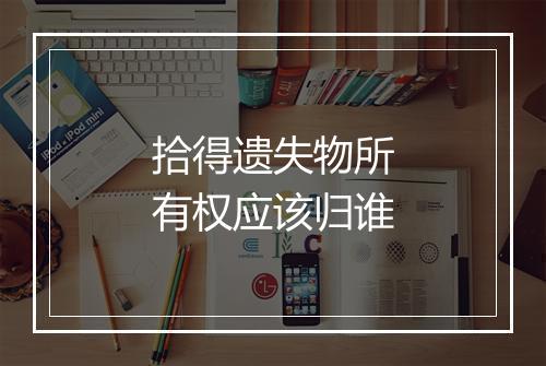 拾得遗失物所有权应该归谁