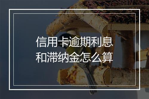 信用卡逾期利息和滞纳金怎么算