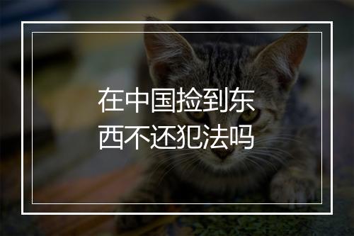 在中国捡到东西不还犯法吗