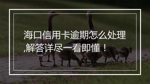 海口信用卡逾期怎么处理,解答详尽一看即懂！