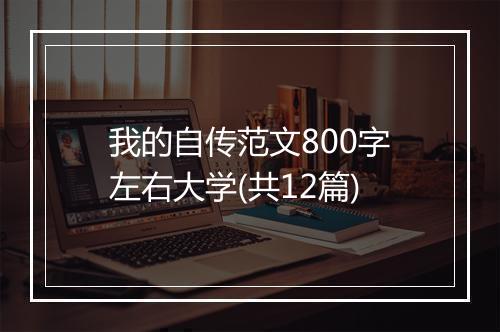 我的自传范文800字左右大学(共12篇)