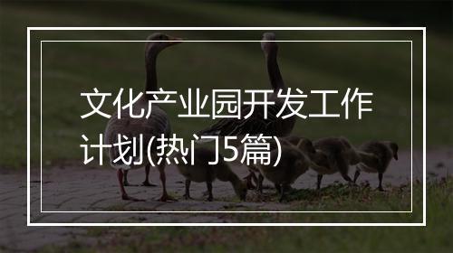 文化产业园开发工作计划(热门5篇)